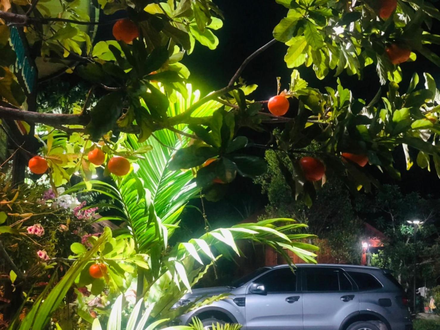 Kob Suk Resort K7 , K10 Sichon Ngoại thất bức ảnh